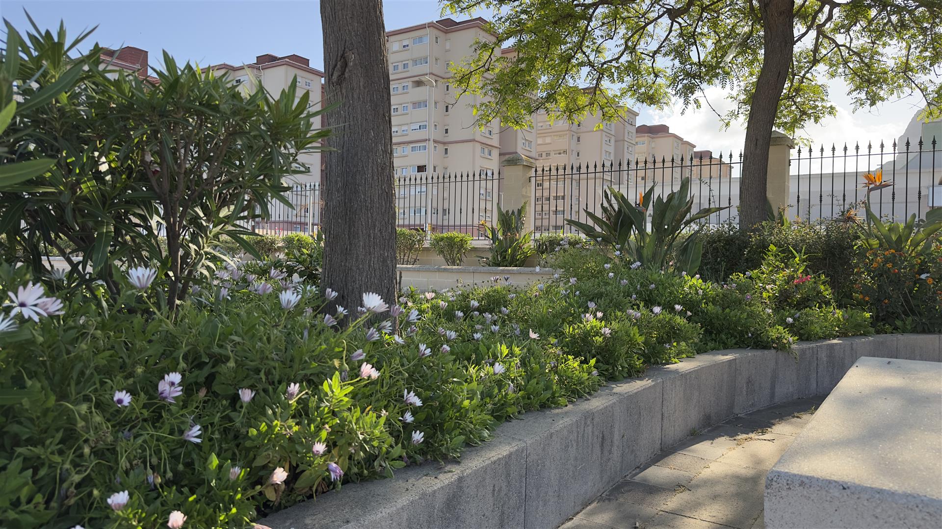  Image of Apartment - 2 Bedrooms - 1 Bathrooms for Sale in Westview Park-Gibraltar, Image 18